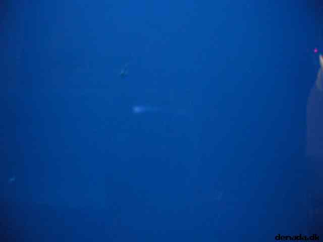 * Image 115