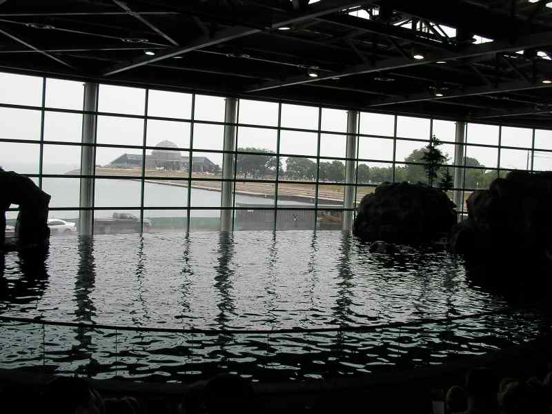 * Image 113