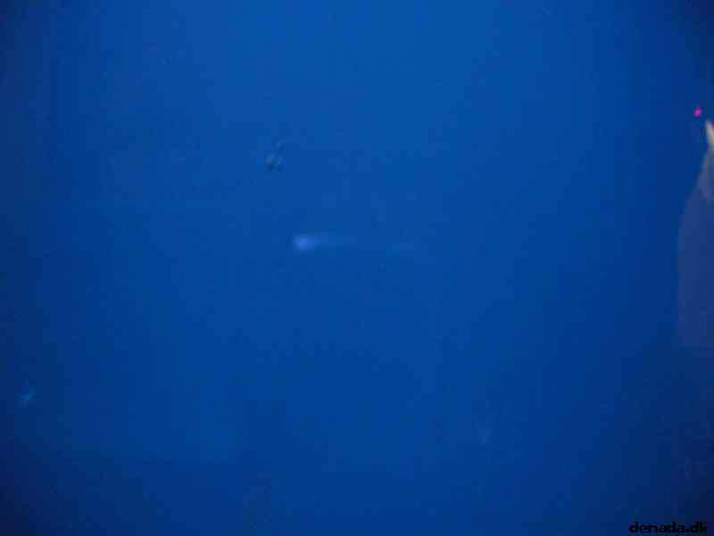 * Image 115