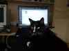 18102008301.jpg - 2008:10:18 09:00:50