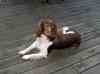 HPIM3651.JPG - 2008:10:25 11:13:41