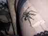 HPIM3688.JPG - 2008:11:01 03:30:56
