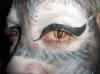 HPIM3689.JPG - 2008:11:01 03:33:23