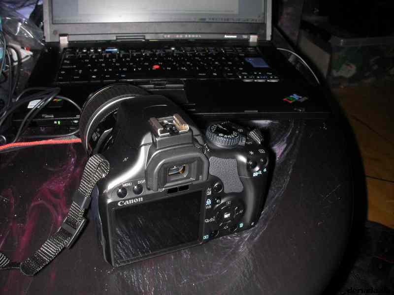 * Image 3
