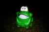 20081109_playground_frog.jpg - 2008:11:09 23:41:42