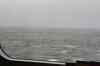 20081116_114038.jpg - 2008:11:16 11:40:38