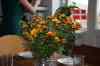20081116_133018.jpg - 2008:11:16 13:30:18