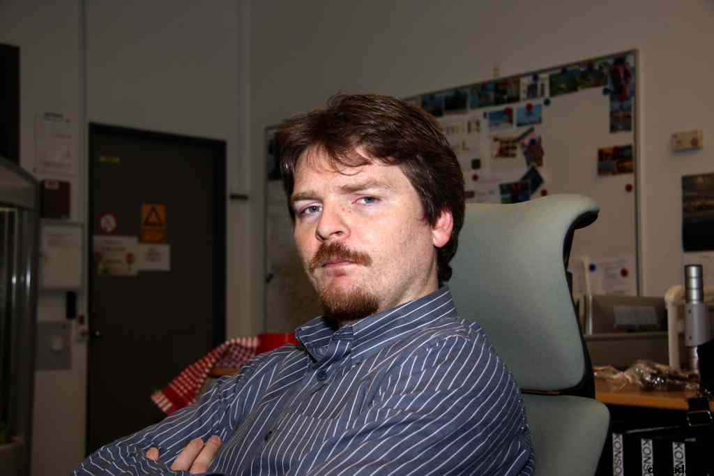 * Image 4