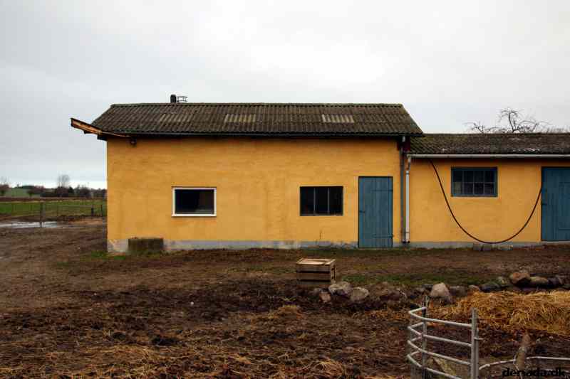 * Image 21