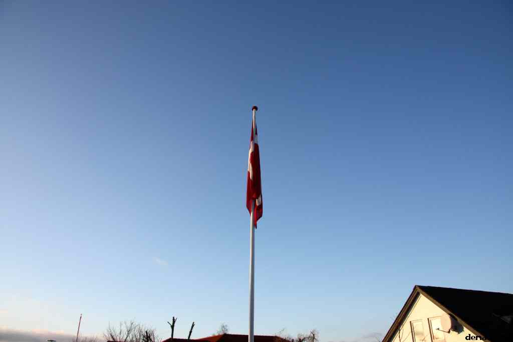 * Image 14
