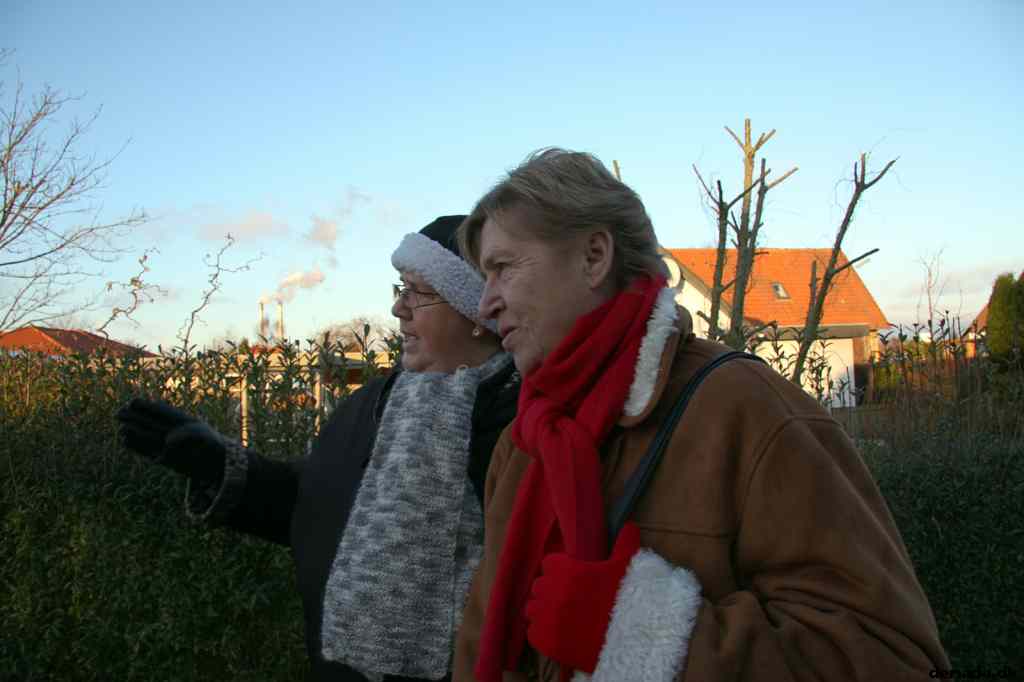 * Image 19