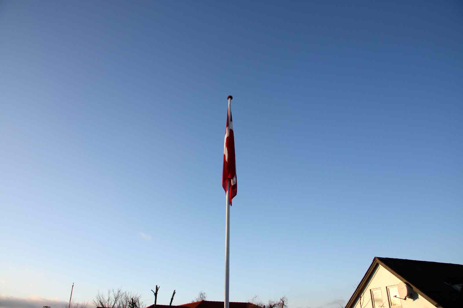 * Image 14