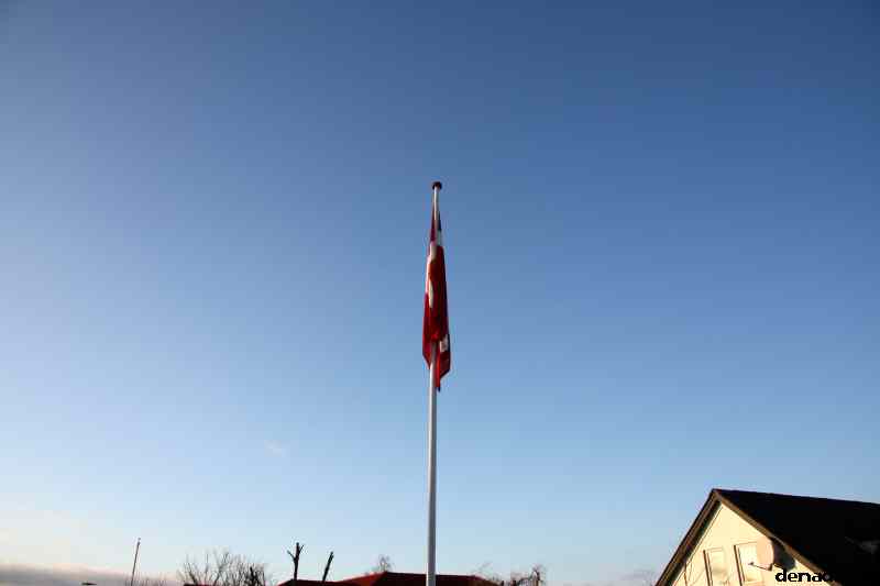 * Image 14