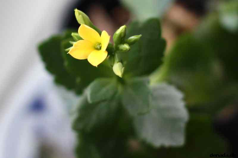 * Image 9