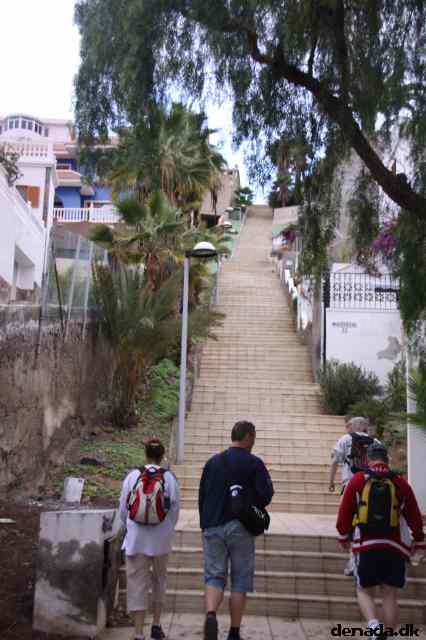 * Image 32