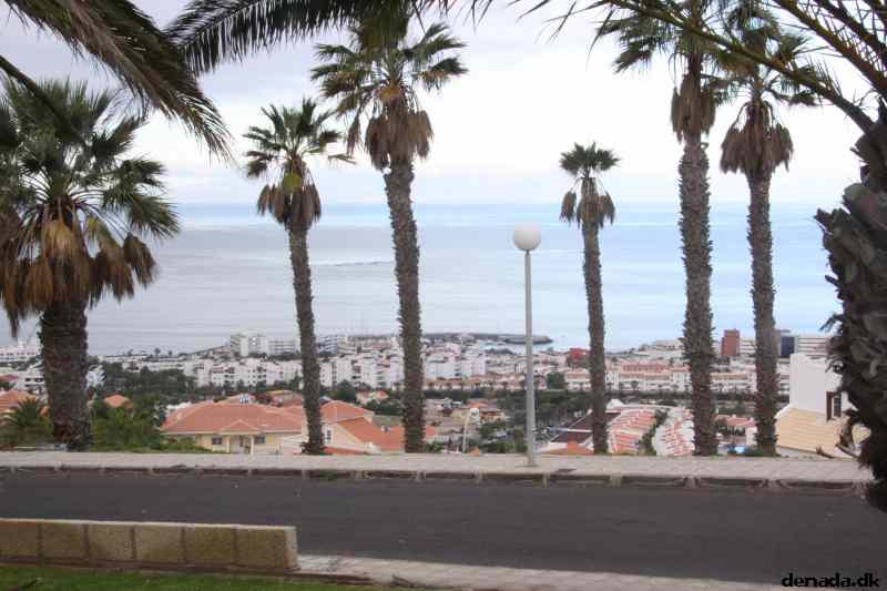 * Image 65