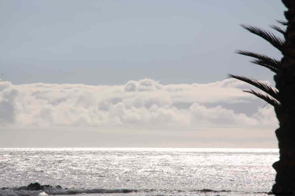 * Image 17