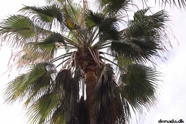 * Image 1