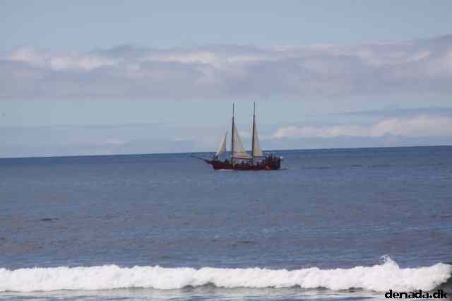 * Image 4