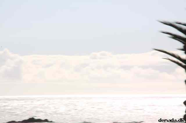 * Image 16