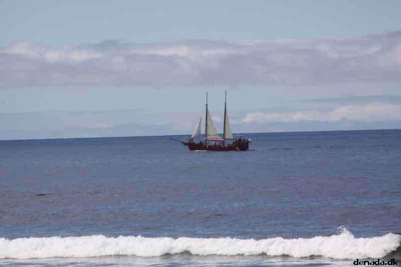 * Image 4