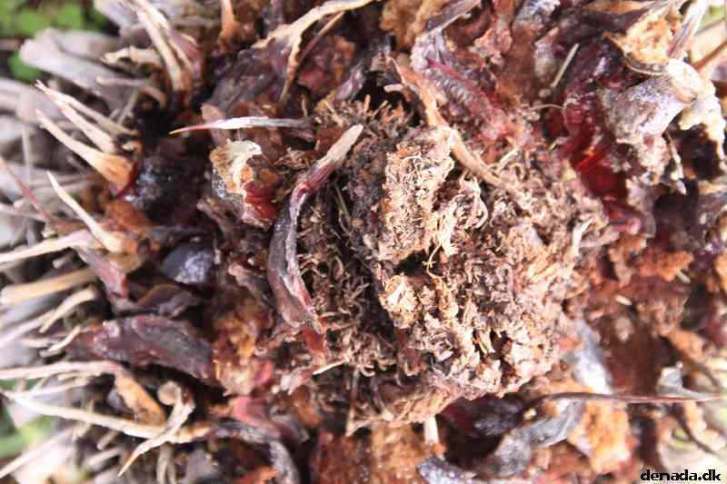 * Image 14