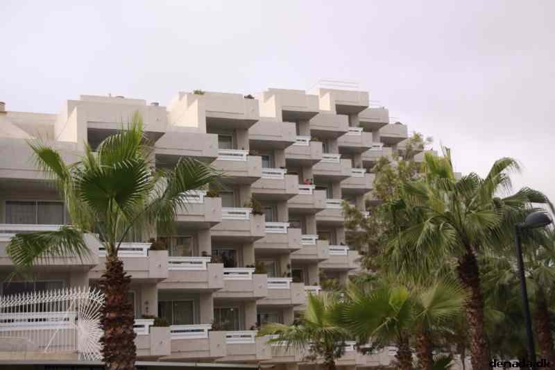 * Image 25