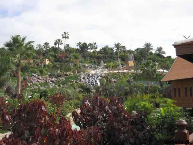 * Image 76