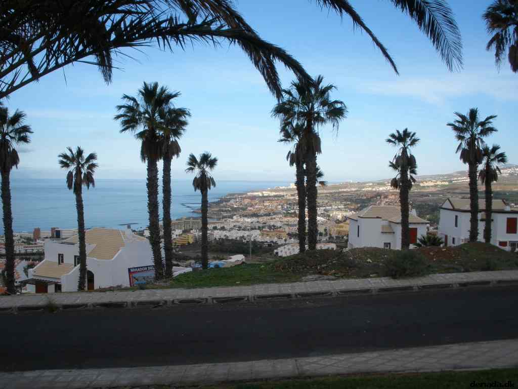 * Image 62