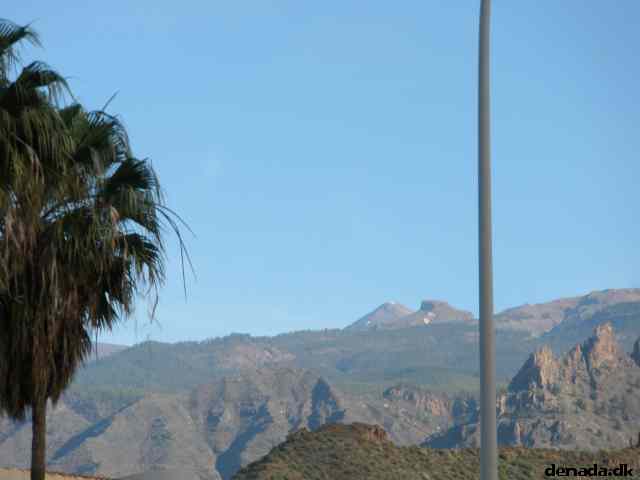 * Image 66