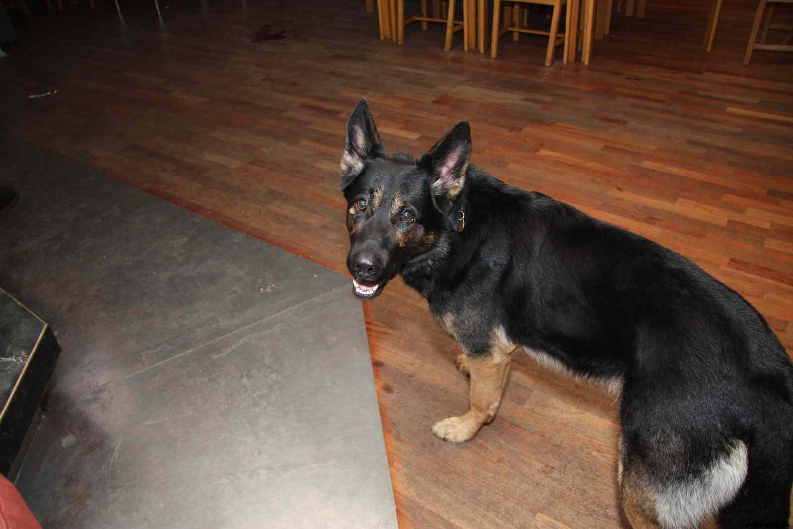 * Image 658