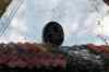 IMG_7978m.jpg - 2009:04:16 16:36:10