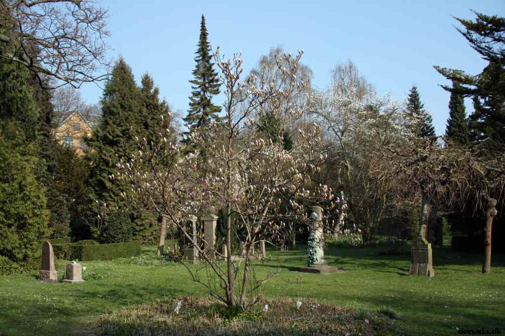 * Image 8