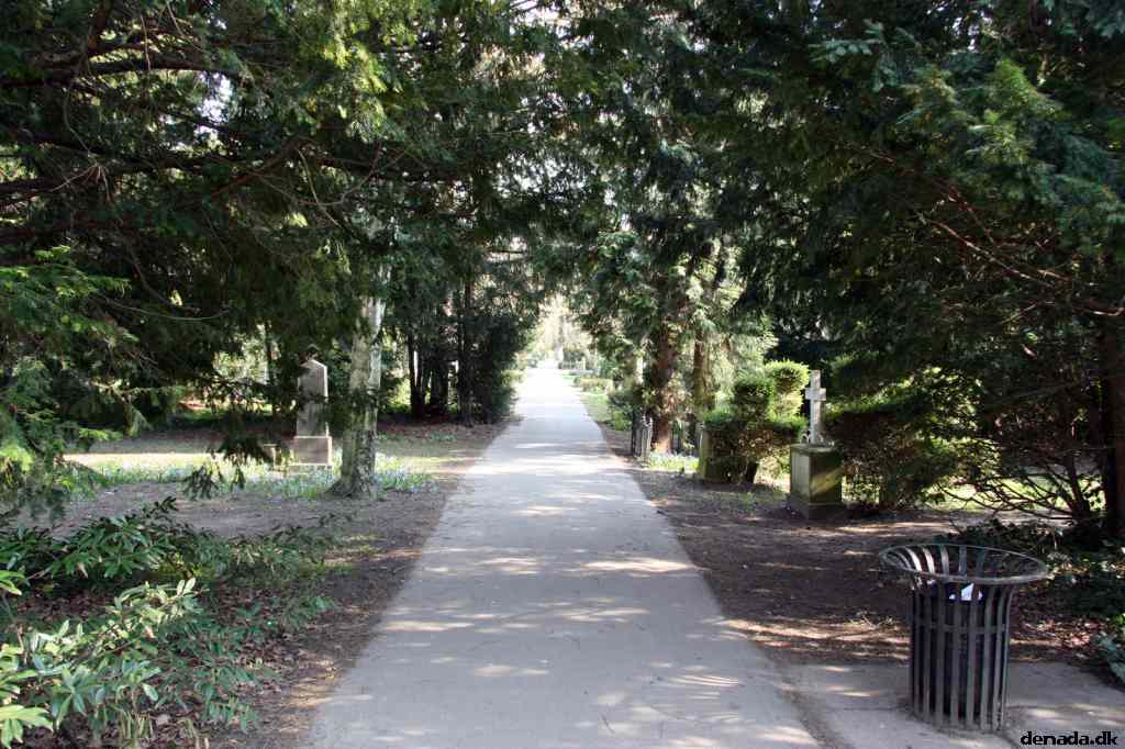 * Image 12