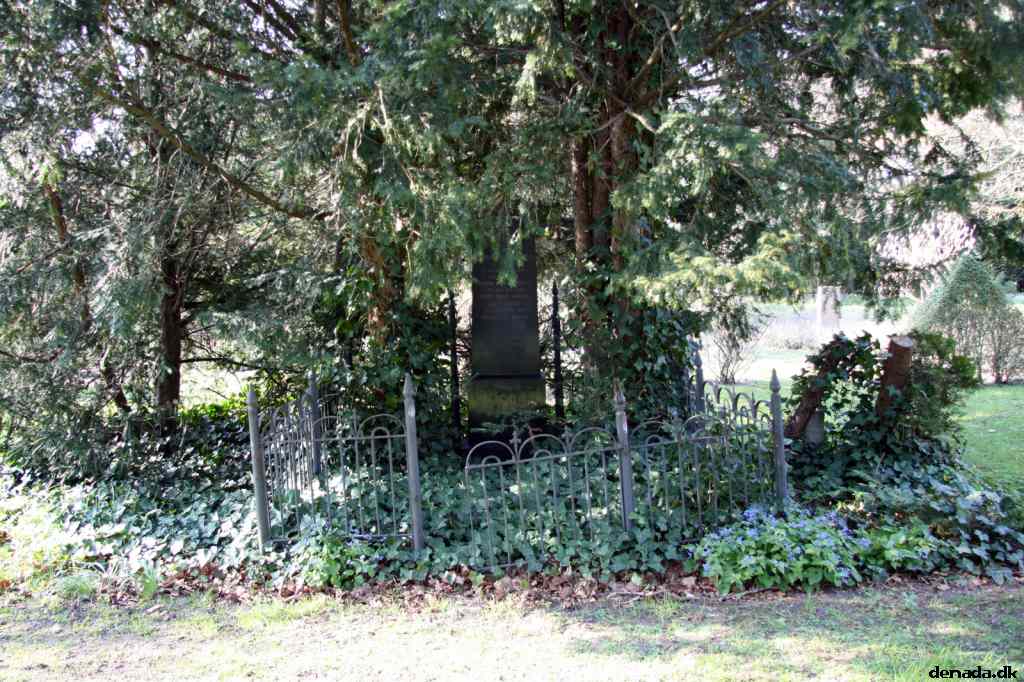 * Image 22