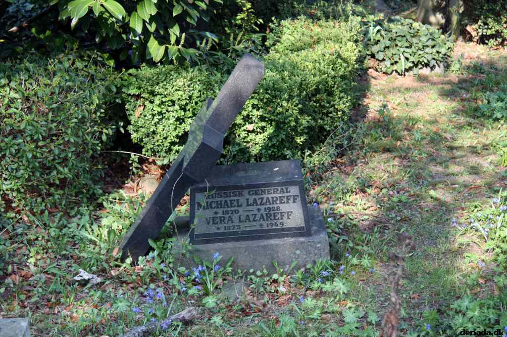 * Image 30