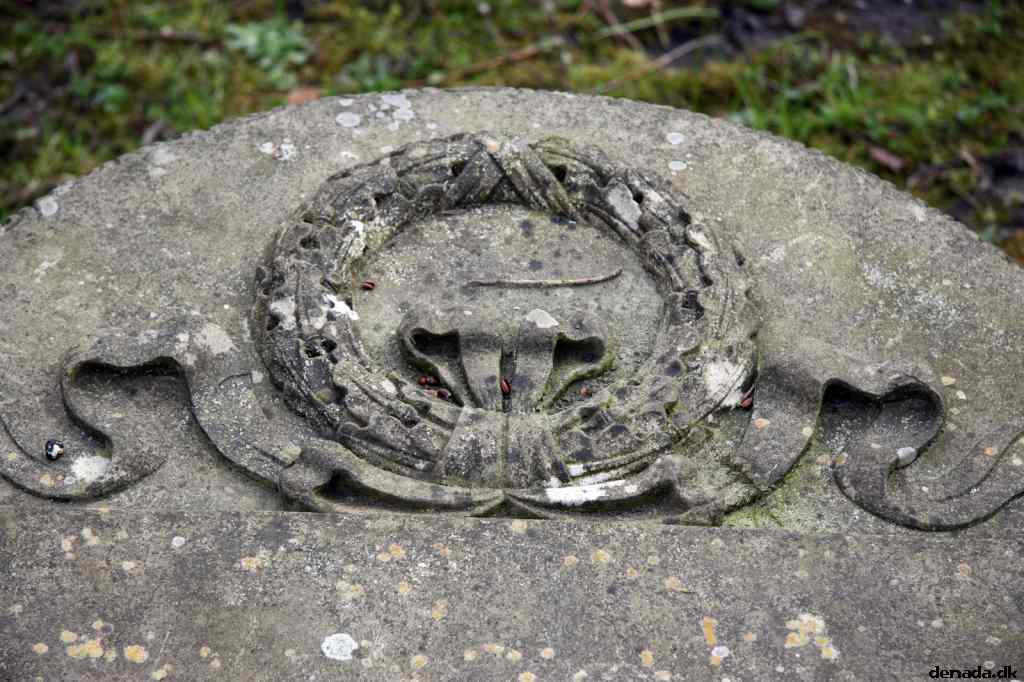 * Image 32
