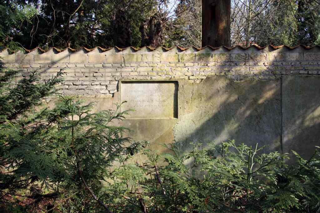 * Image 43