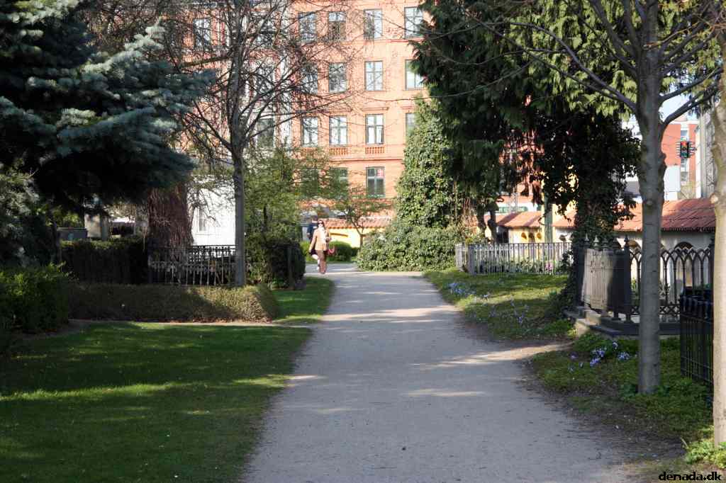 * Image 52