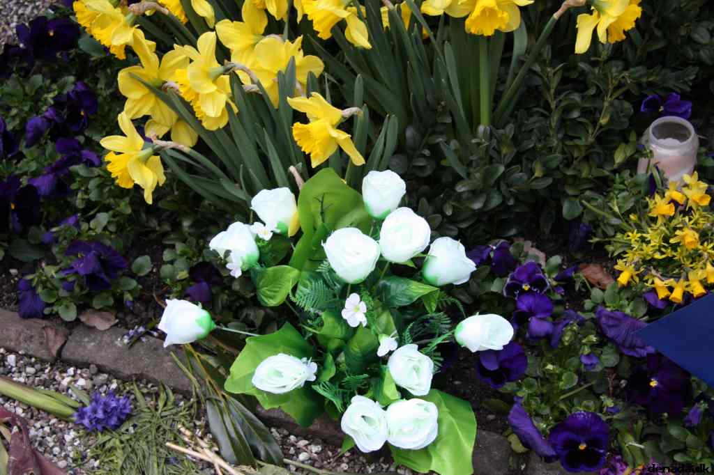 * Image 67