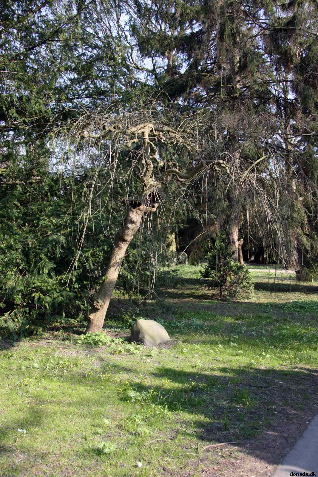 * Image 10