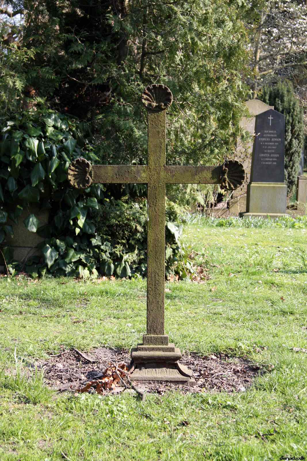 * Image 7
