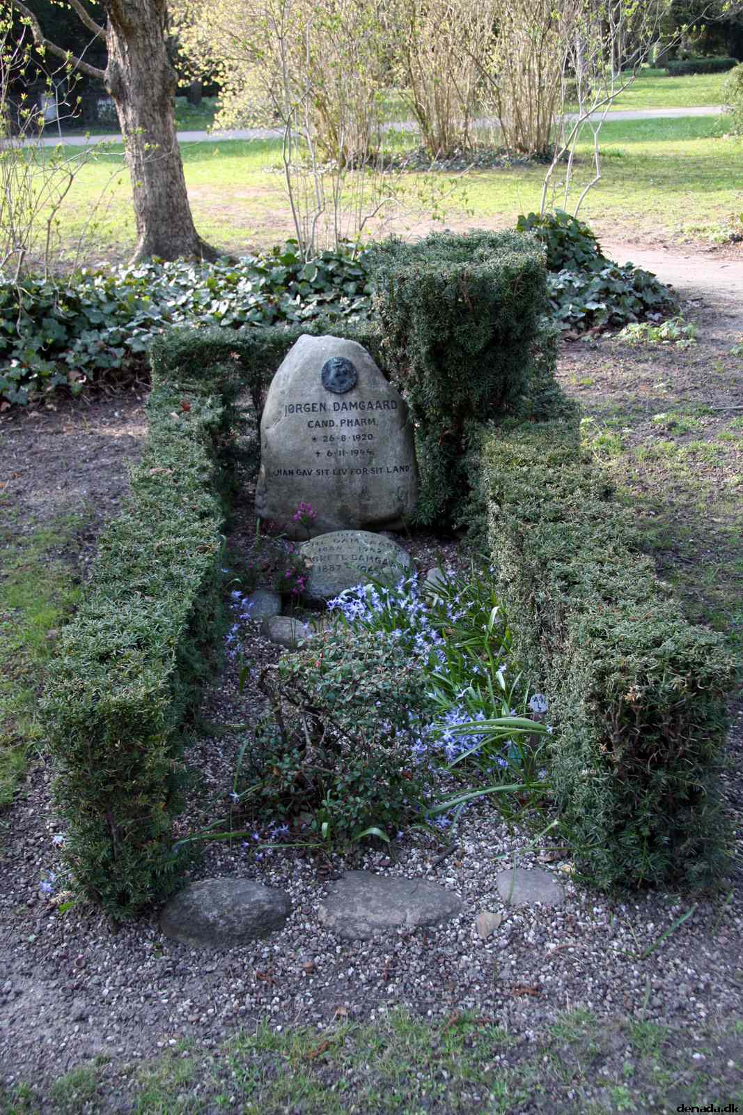 * Image 72