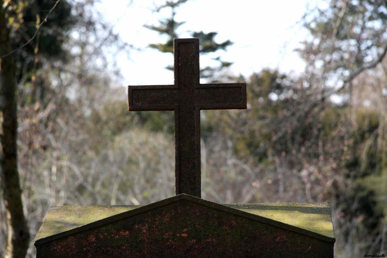 * Image 25