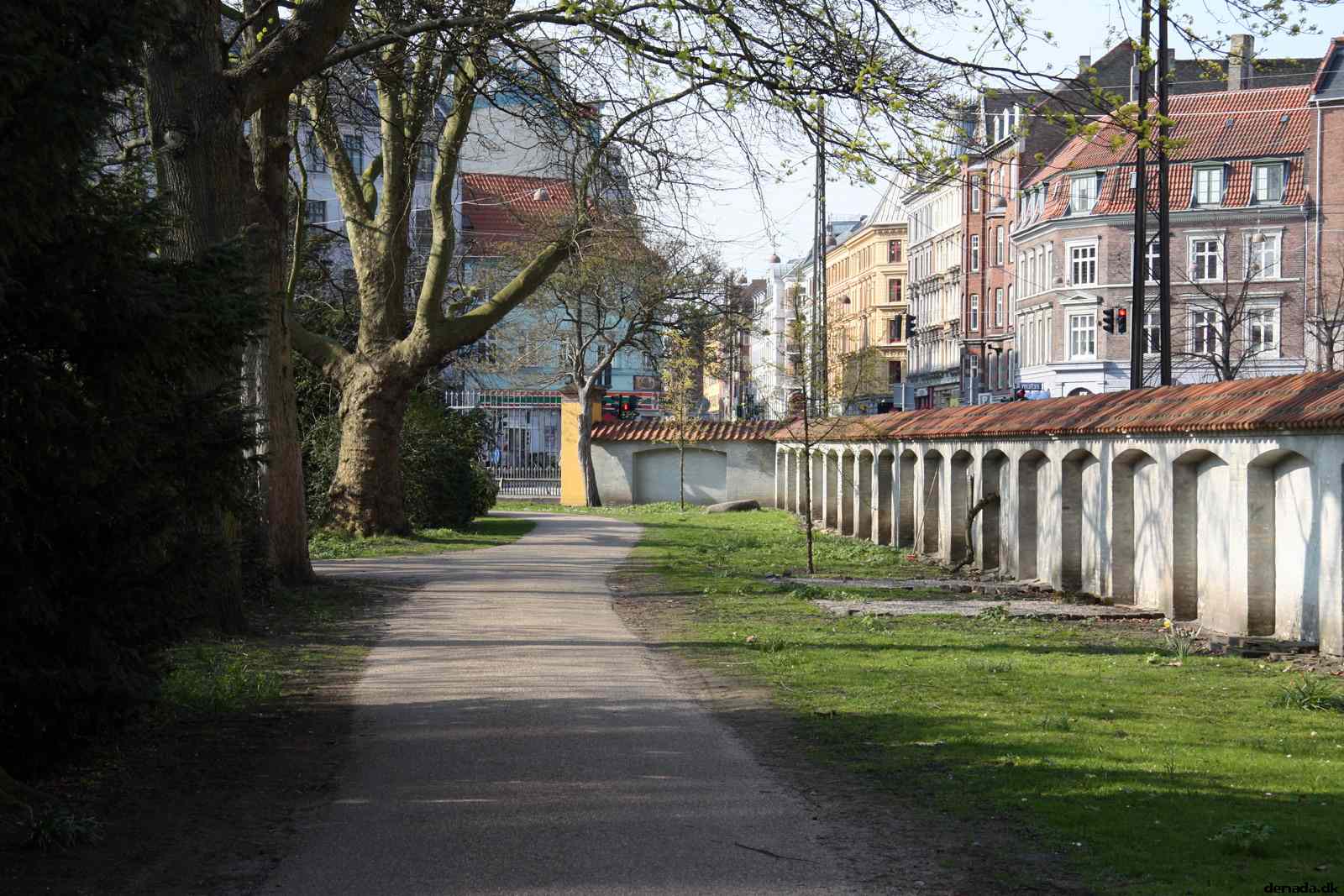 * Image 3