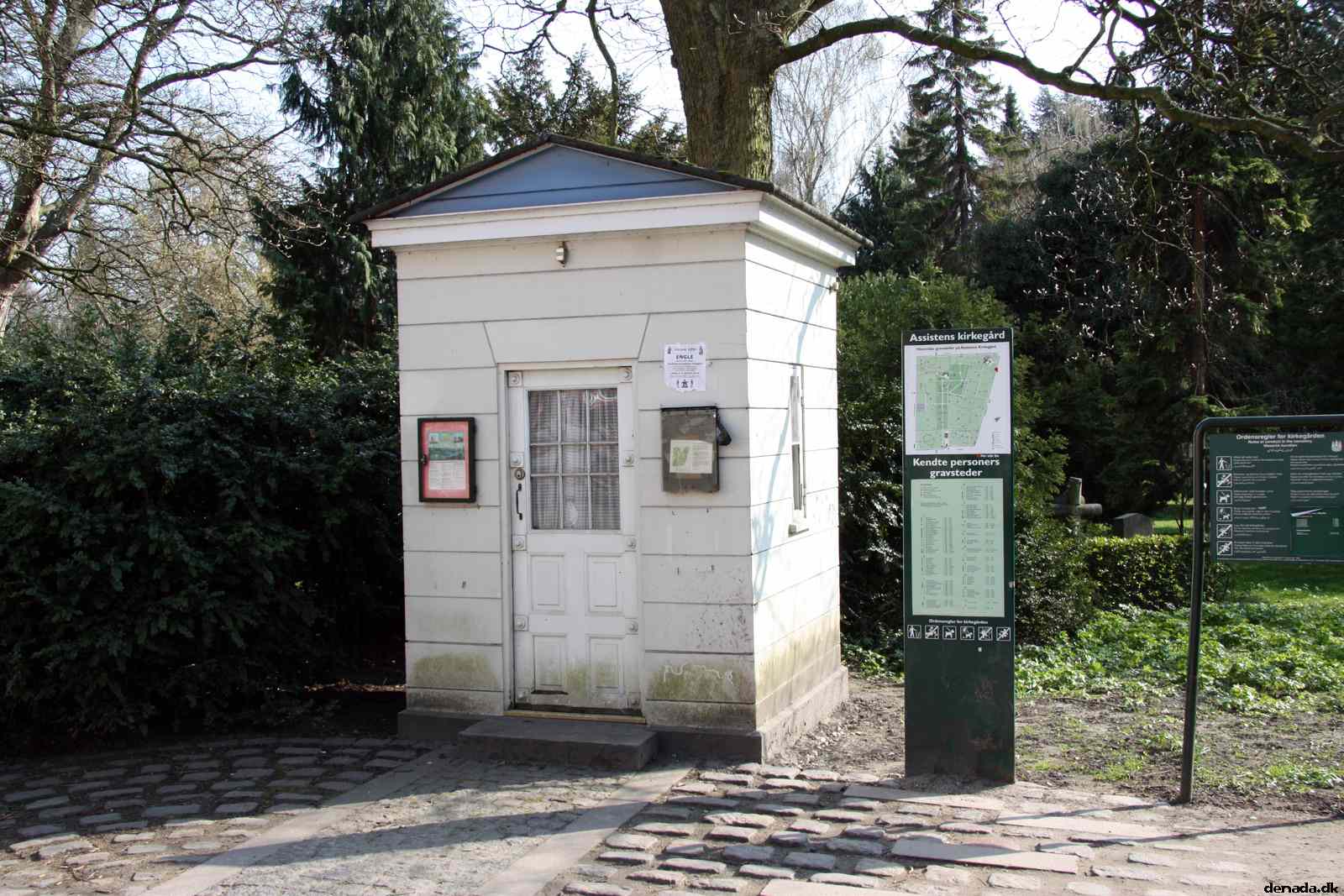 * Image 4