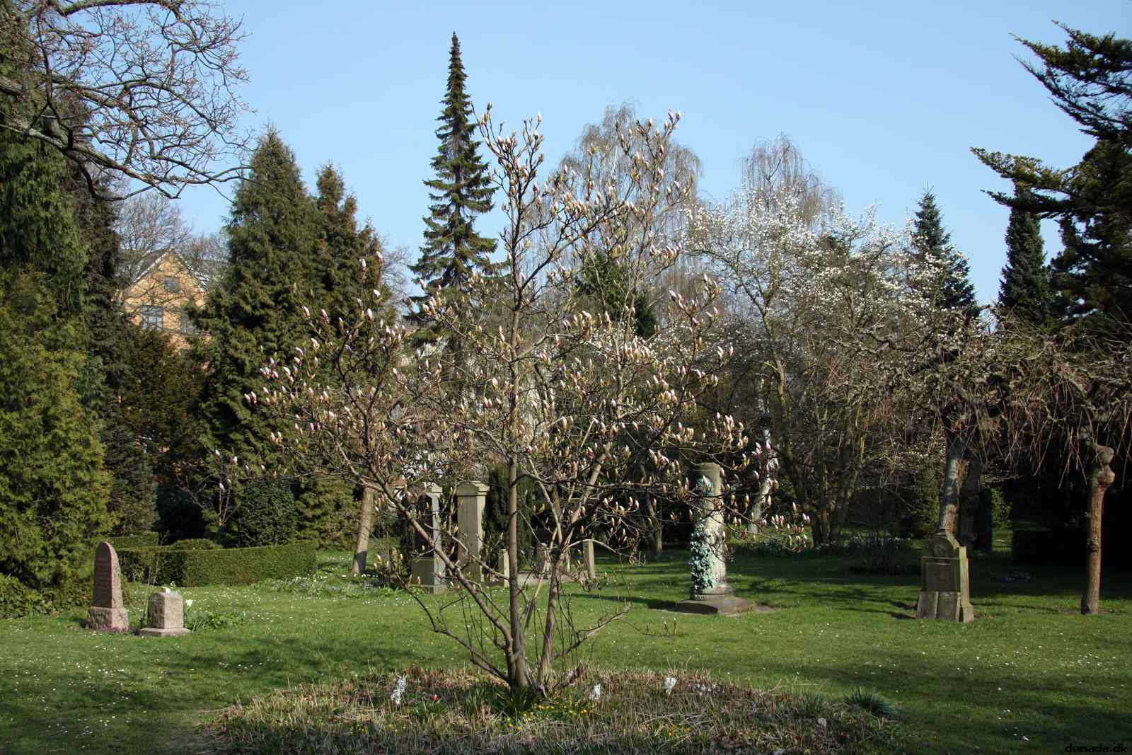 * Image 8
