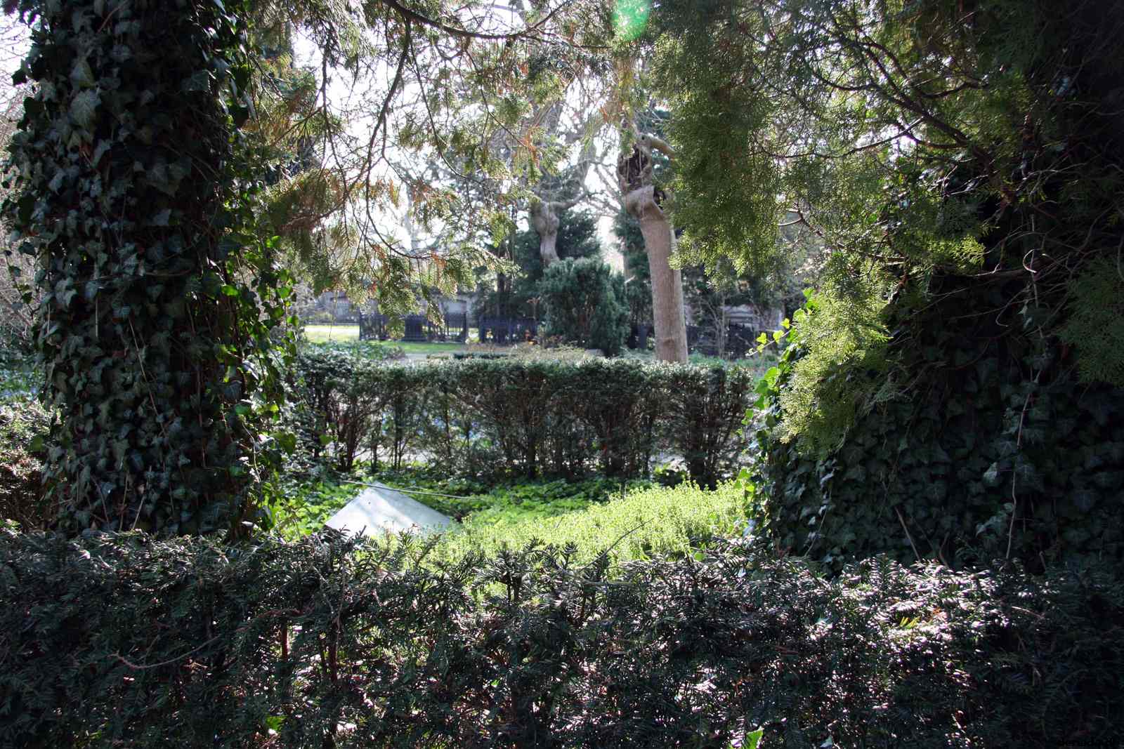 * Image 17