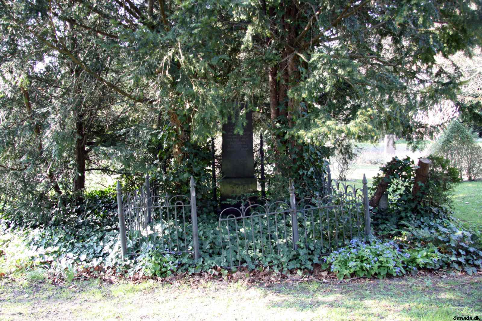* Image 22
