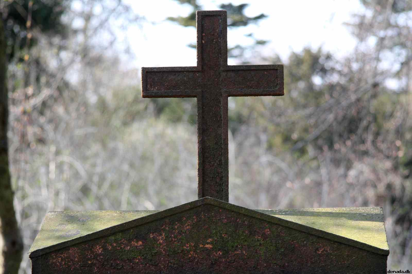 * Image 24